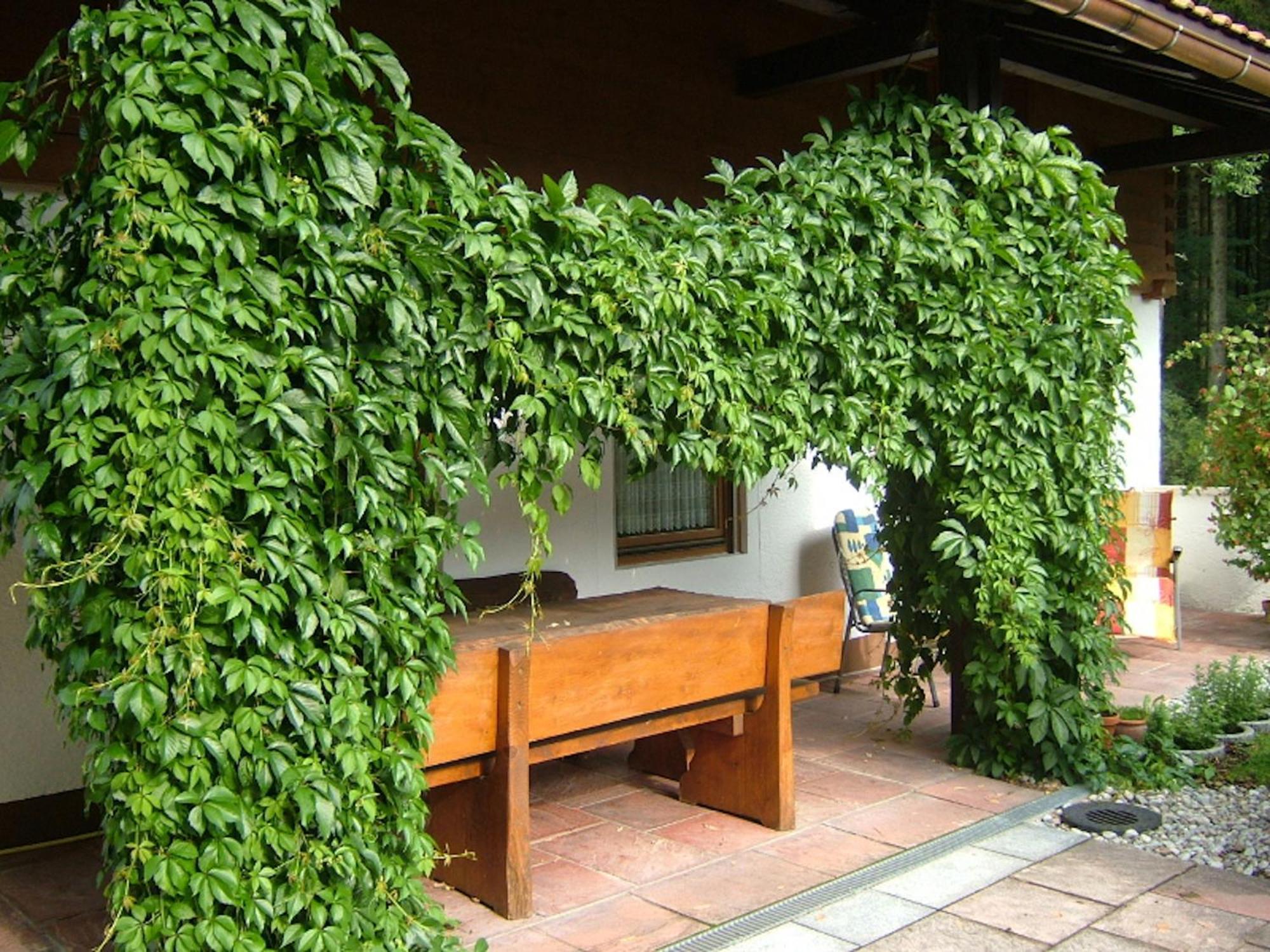 Haus Mayerbuechler - Chiemgau Karte インツェル エクステリア 写真
